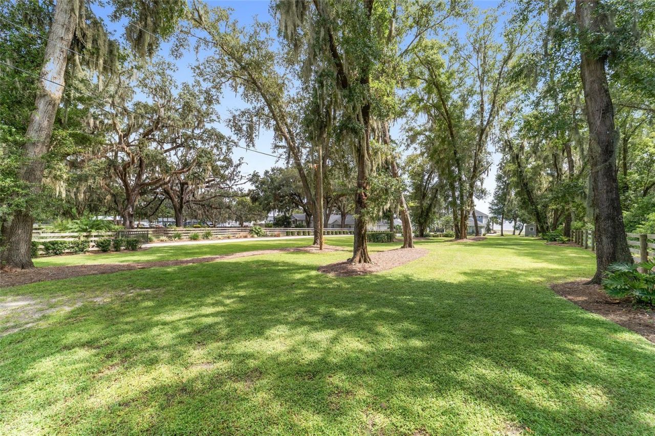 12350 E Highway 25, Ocklawaha, FL 32179 Photo