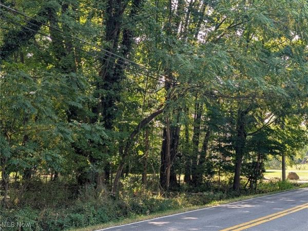 Schocalog Road, Akron, OH 44320