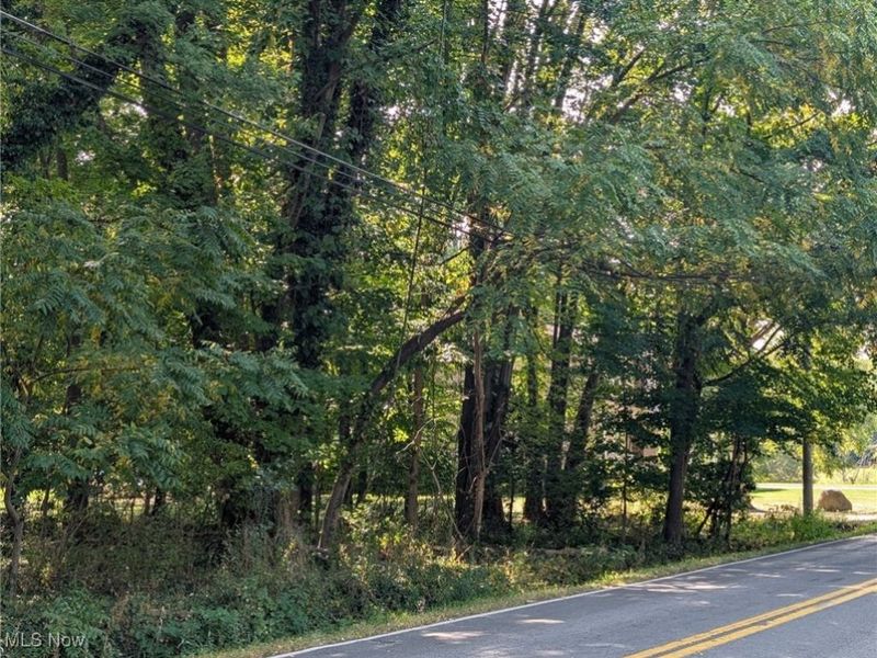 Schocalog Road, Akron, OH 44320 Photo 1