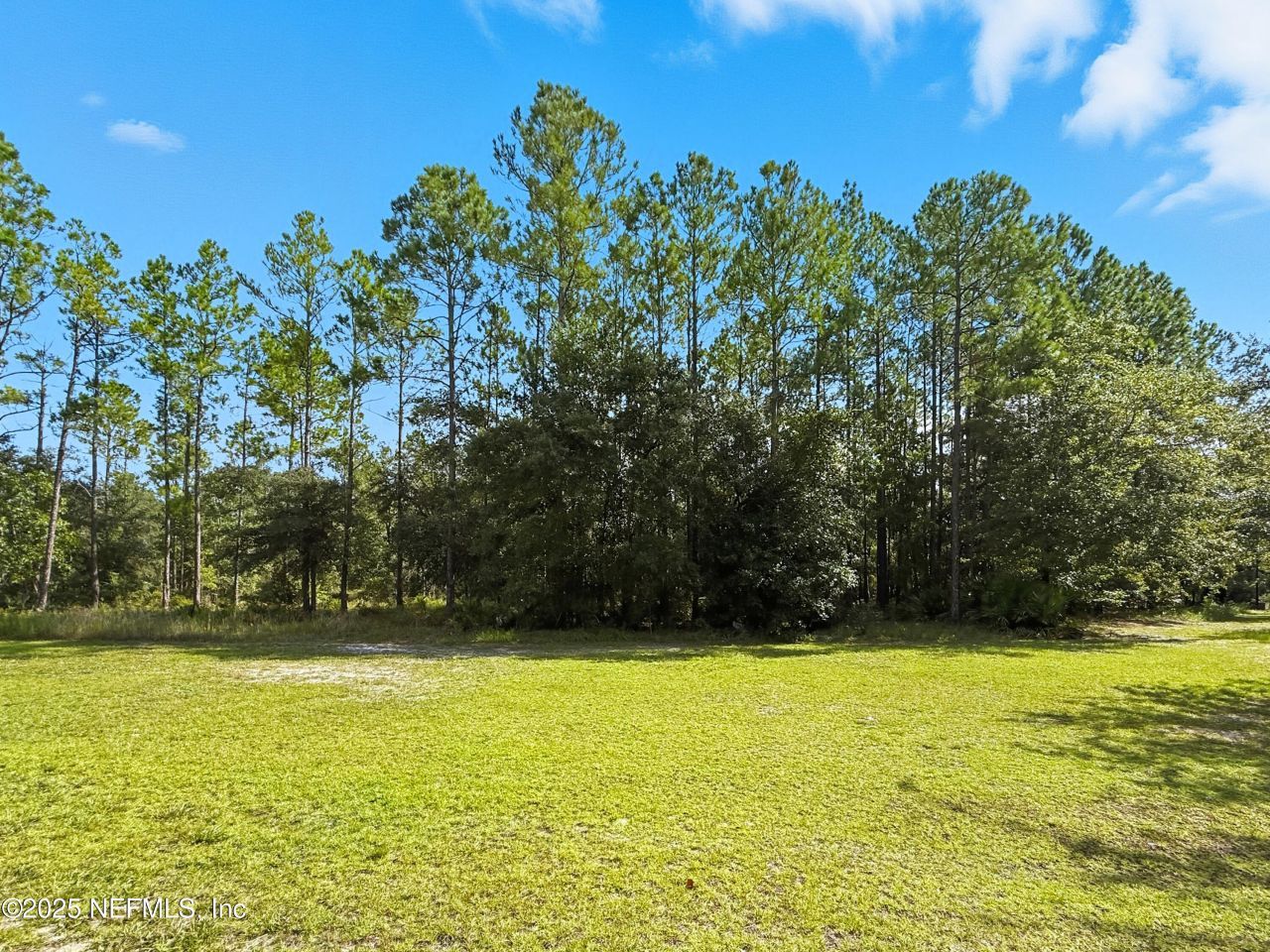 13597 Settindown Drive, Bryceville, FL 32009 Photo