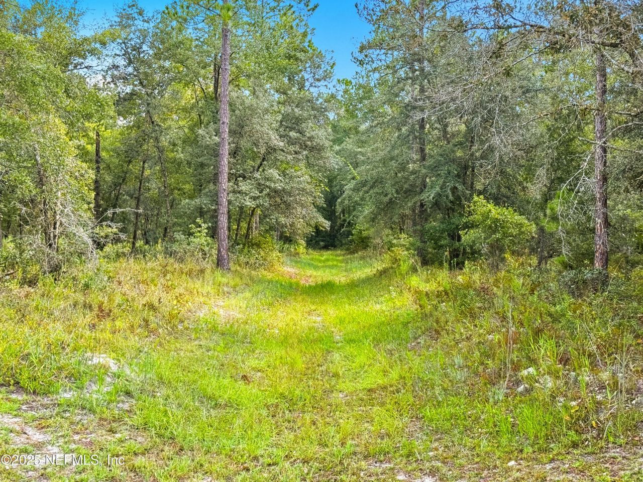 13597 Settindown Drive, Bryceville, FL 32009 Photo