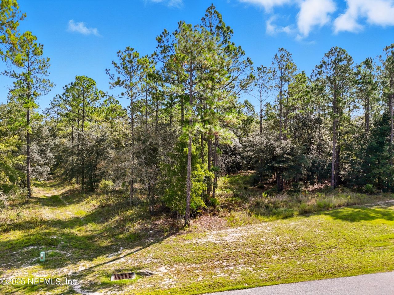 13597 Settindown Drive, Bryceville, FL 32009 Photo