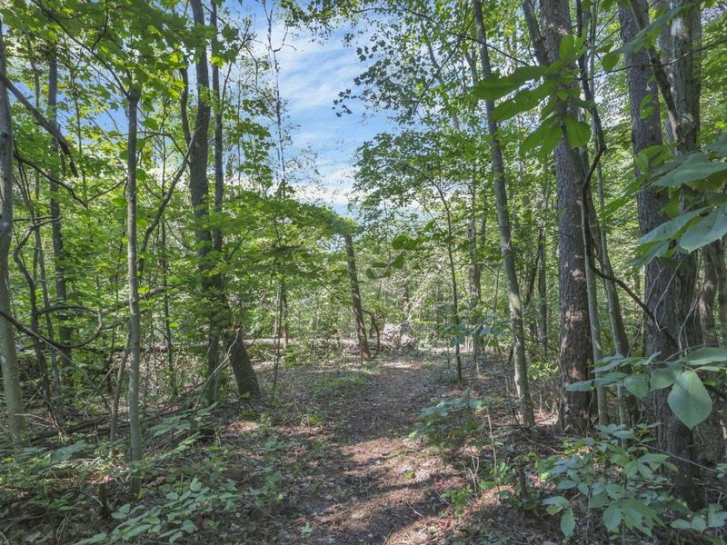 9271 Roley Road, Sugar Grove, OH 43155 Photo 47