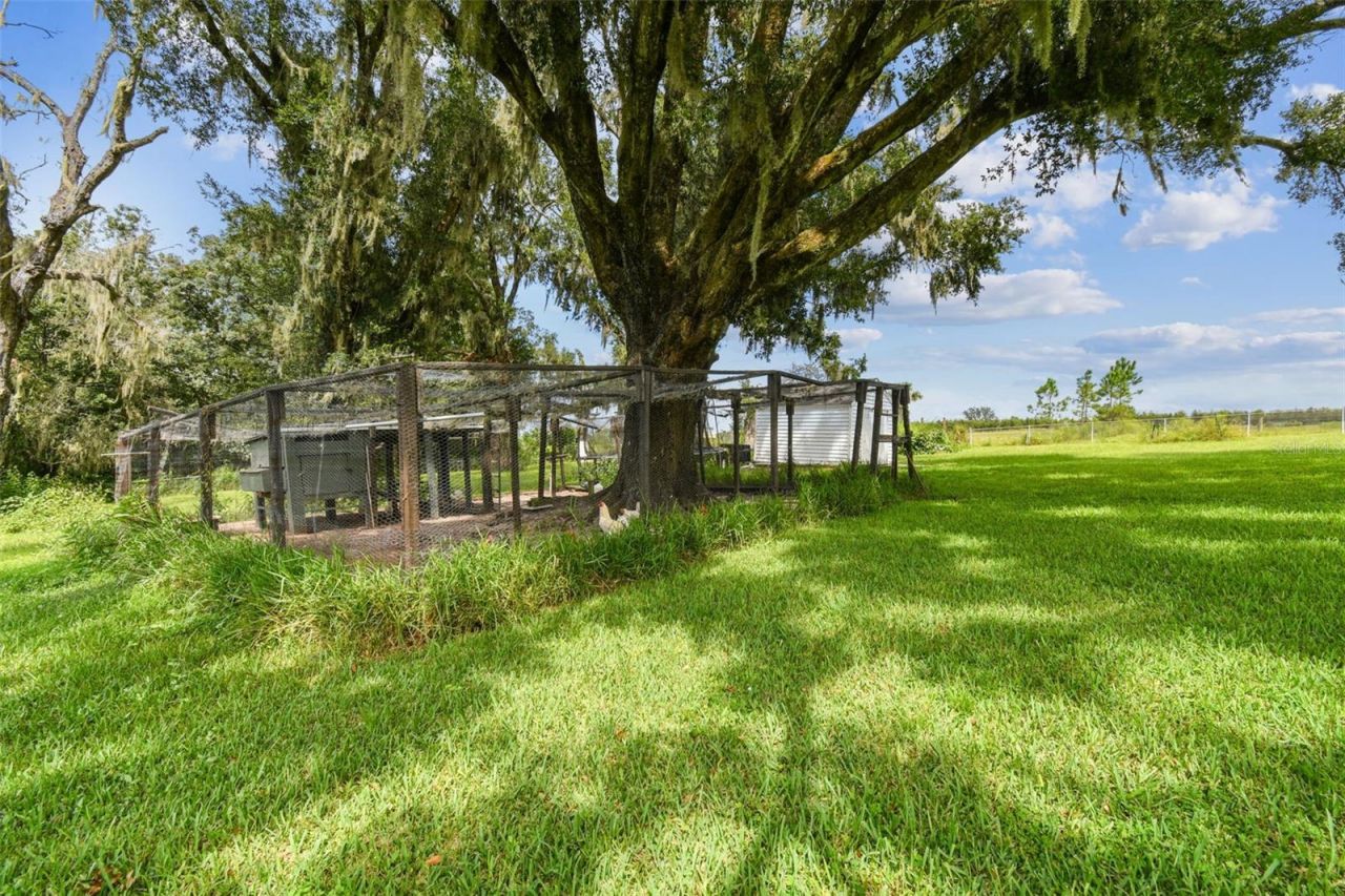 33937 St Benedict Road, San Antonio, FL 33576 Photo