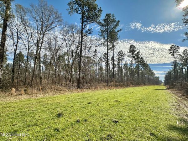 3 Dry Grove Road, Terry, MS 39170