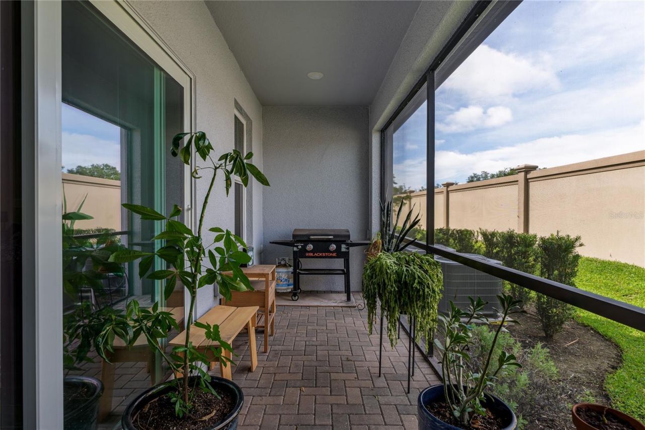 5519 Tripoli Drive, Palmetto, FL 34221 Photo