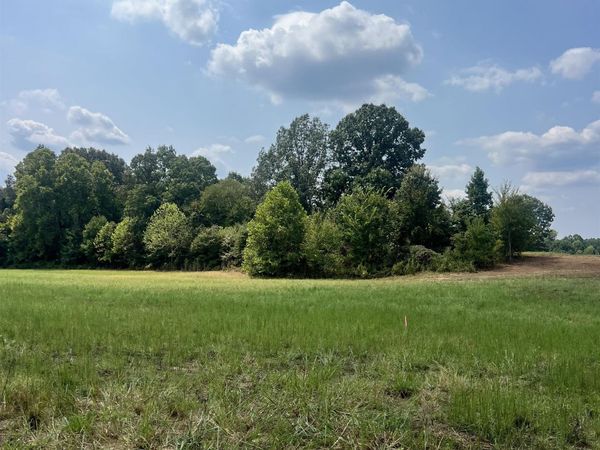 TRACT 1 ANDREW RD, Unincorporated, TN 38049