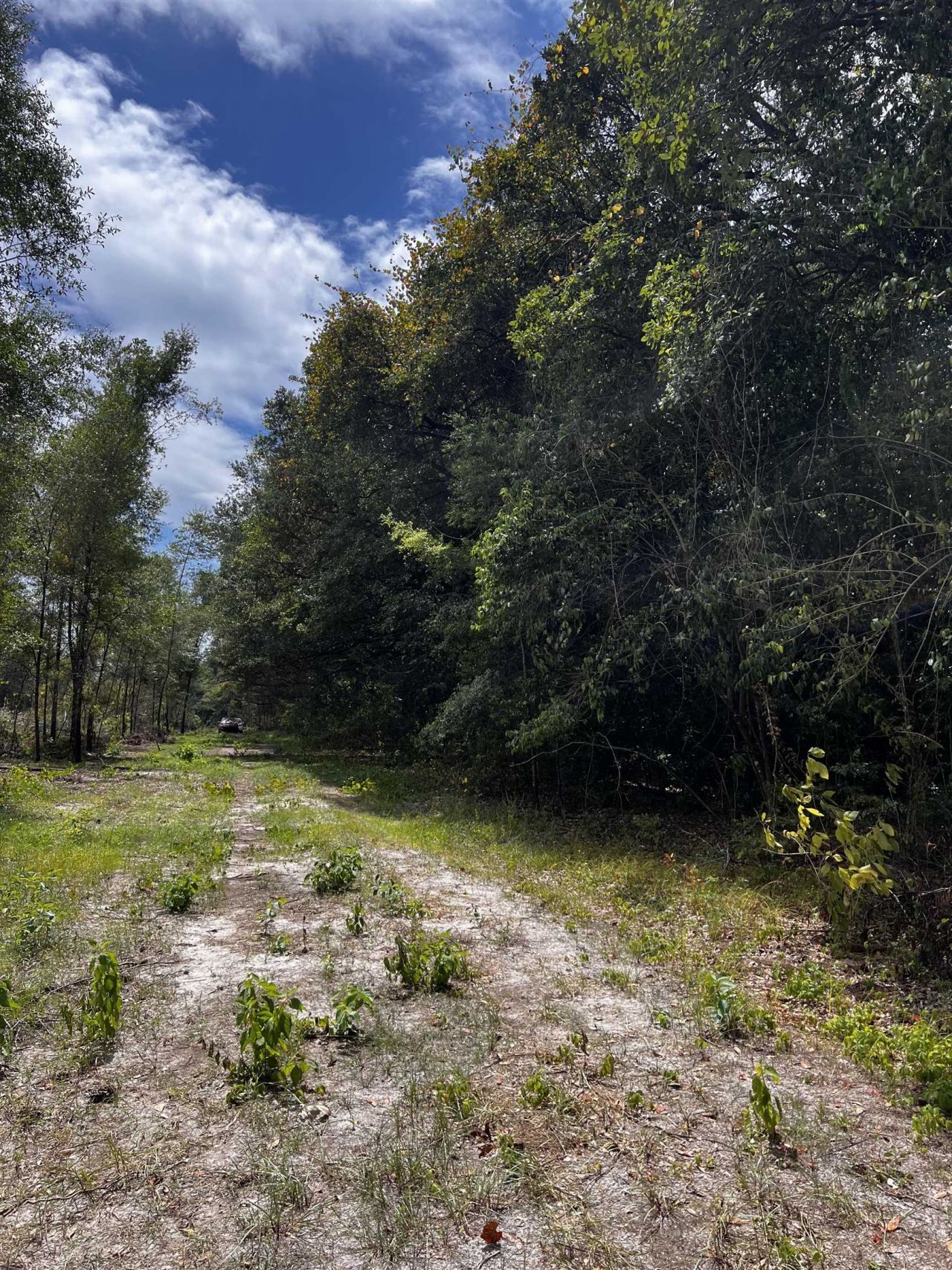 Lot#2 Glory Road, Quincy, FL 32352 Photo