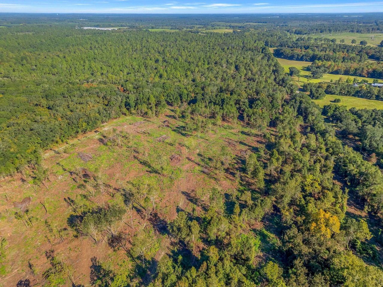 Lot#2 Glory Road, Quincy, FL 32352 Photo