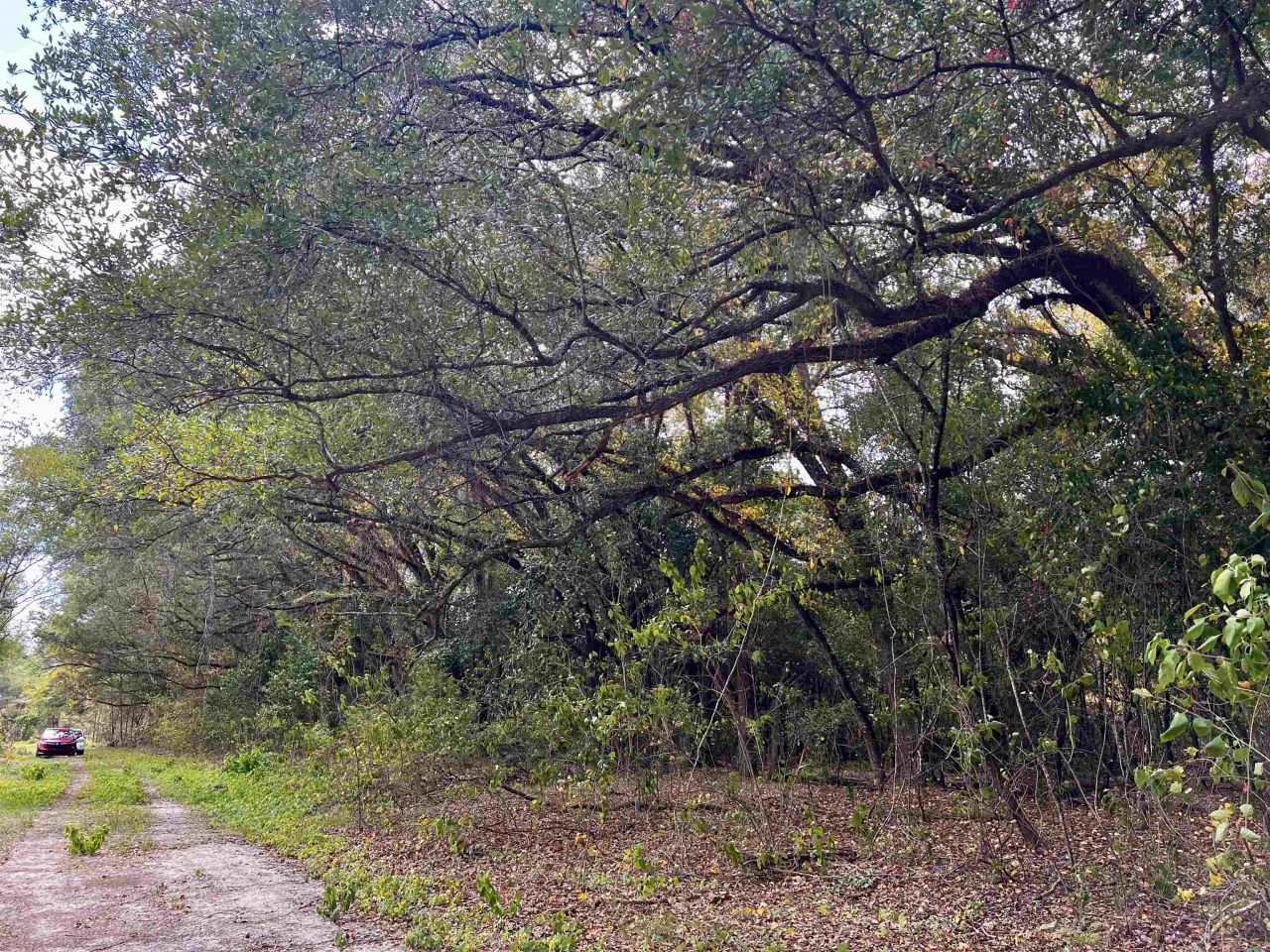 Lot#3 Glory Road, Quincy, FL 32352 Photo