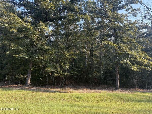 00 Friendship Circle, Forest, MS 39074