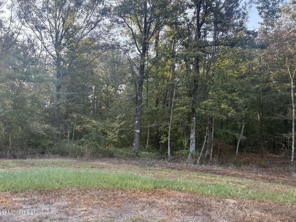 00 Friendship Circle, Forest, MS 39074