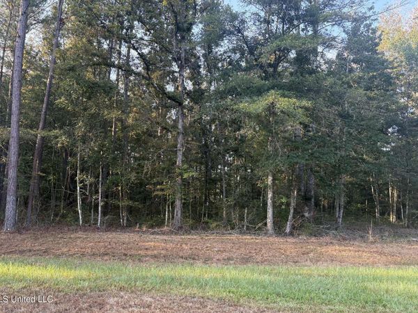 00 Friendship Circle, Forest, MS 39074