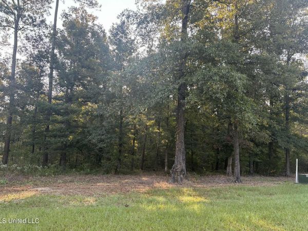 00 Shire Avenue, Forest, MS 39074