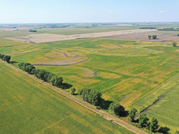 TBD County 8, Campbell, MN 56522