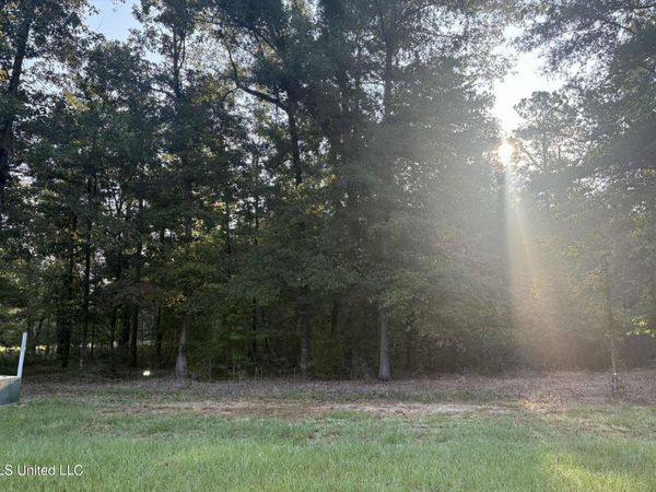 00 Shire Avenue, Forest, MS 39074