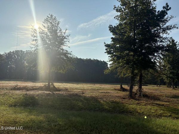 00 Shire Avenue, Forest, MS 39074