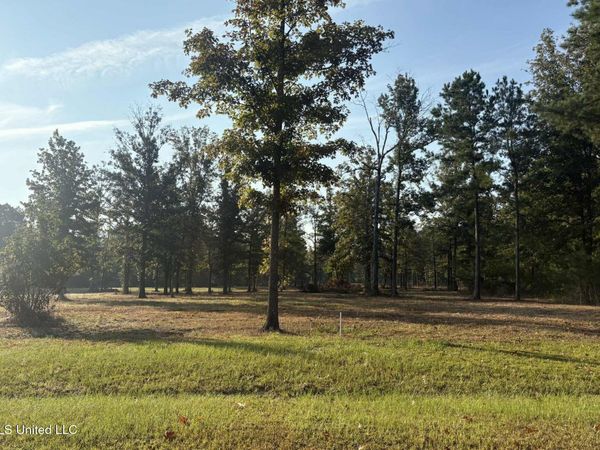 00 Shire Avenue, Forest, MS 39074