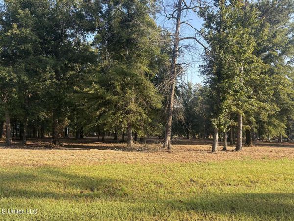 00 Shire Avenue, Forest, MS 39074