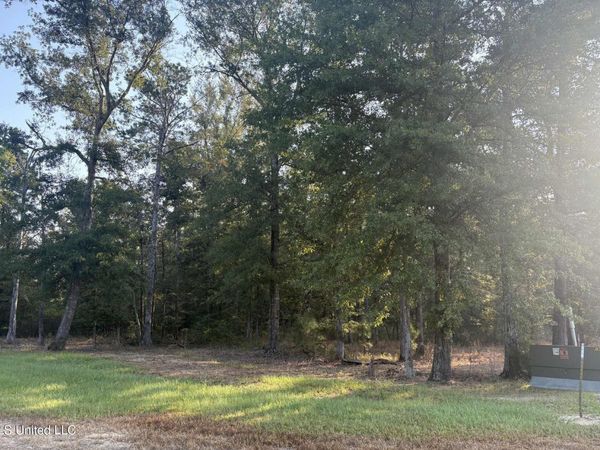 00 Shire Avenue, Forest, MS 39074