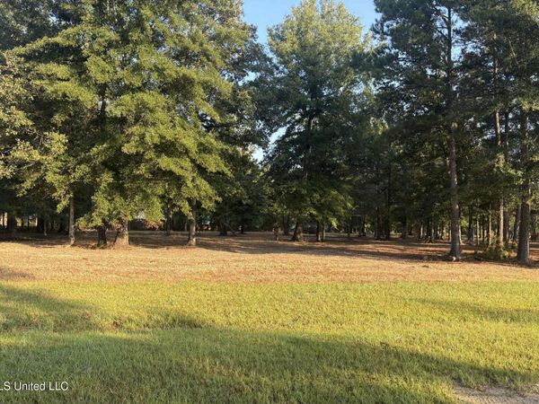 00 Shire Avenue, Forest, MS 39074