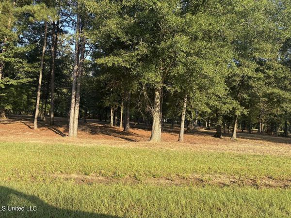 00 Shire Avenue, Forest, MS 39074