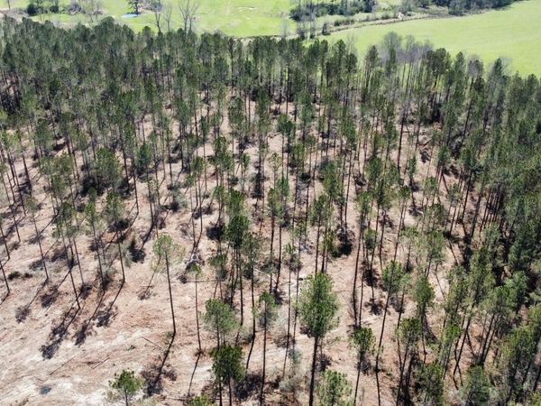 1 Highway 478, New Hebron, MS 39140