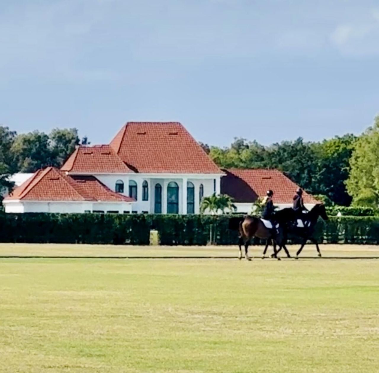 3900 Fieldview Way, Wellington, FL 33414 Photo