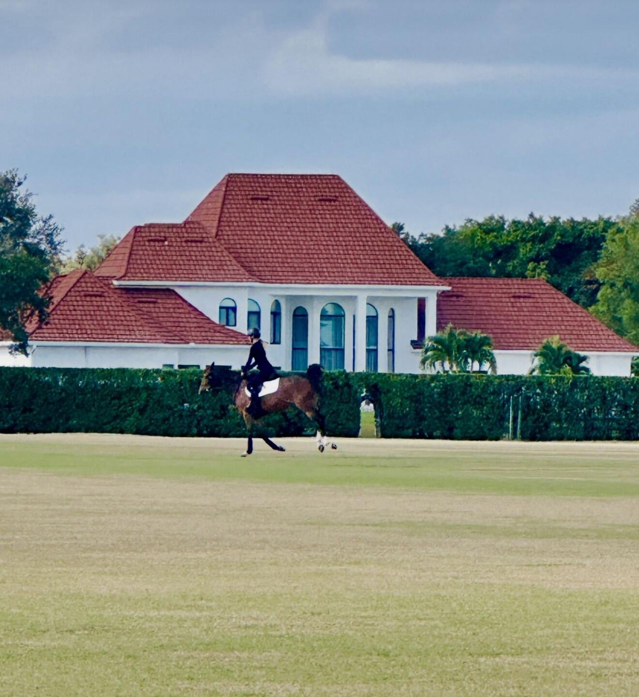 3900 Fieldview Way, Wellington, FL 33414 Photo