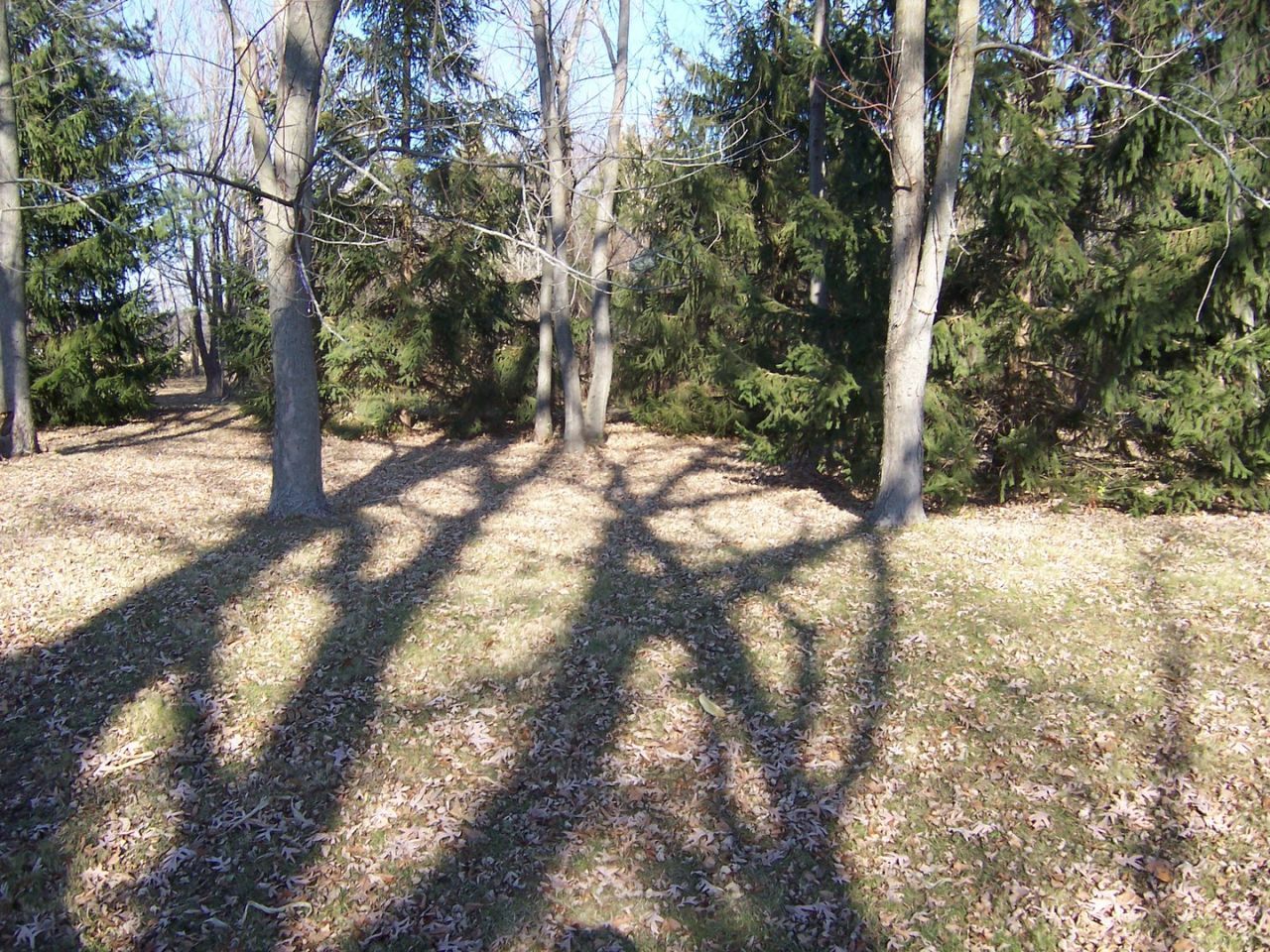 7n938 Route 47 Highway, Maple Park, IL 60151 Main Photo