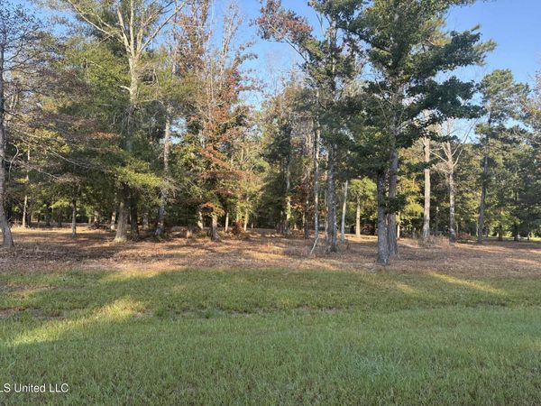 00 Shire Avenue, Forest, MS 39074