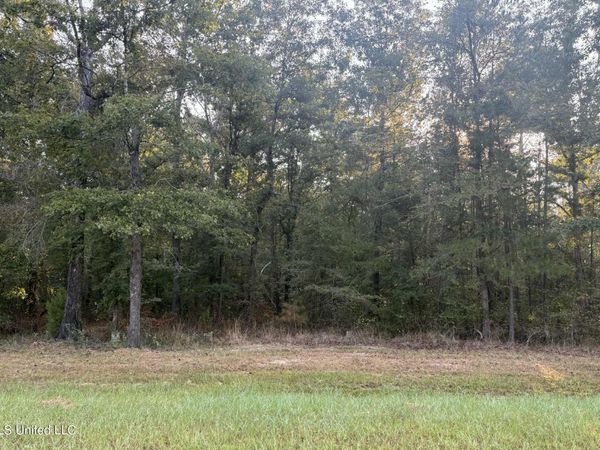 00 Shire Avenue, Forest, MS 39074