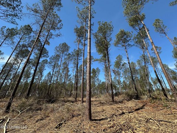 3 Highway 478, New Hebron, MS 39140