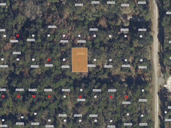 332 Laisy Drive, Georgetown, FL 32139