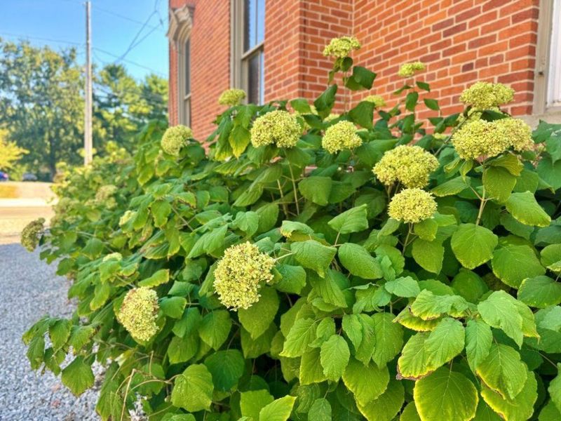 327 S Marion Street, Cardington, OH 43315 Photo 42