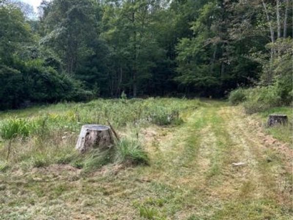 122 Garntham Lane, Tionesta, PA 16353