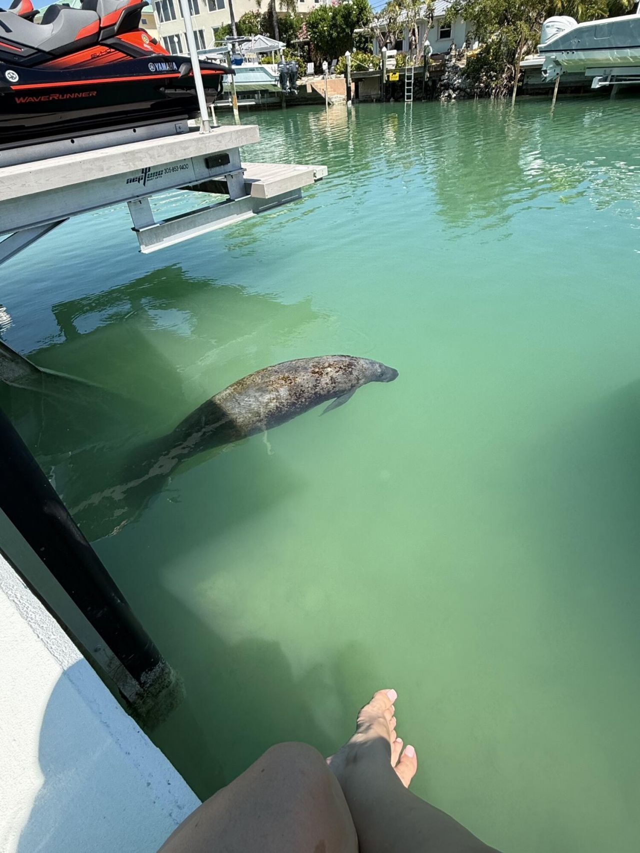 124 S Indies Drive, Duck, FL 33050 Photo