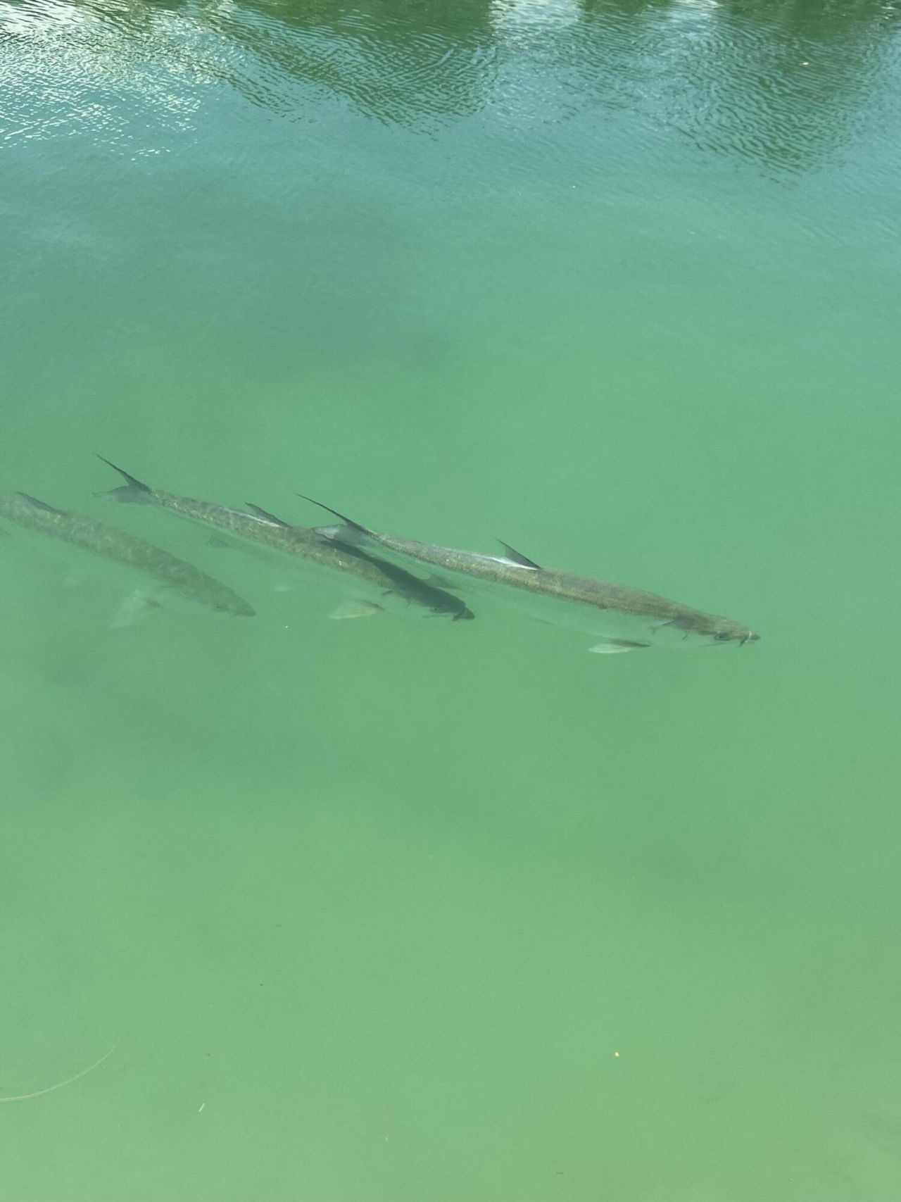 124 S Indies Drive, Duck, FL 33050 Photo