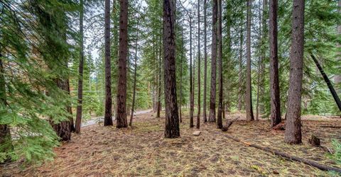 1593 Plumas Circle, South Lake Tahoe, CA 96150 Photo