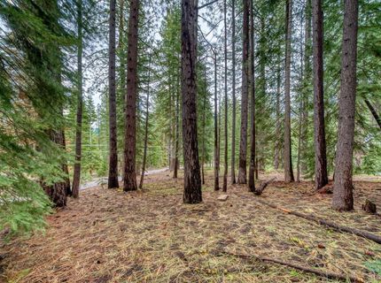 1593 Plumas Circle, South Lake Tahoe, CA 96150 Photo
