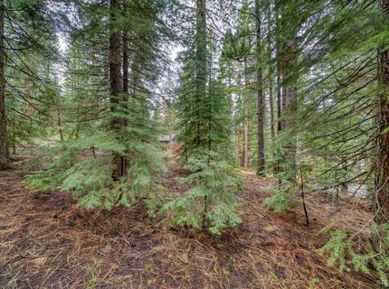 1593 Plumas Circle, South Lake Tahoe, CA 96150 Photo