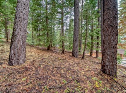 1593 Plumas Circle, South Lake Tahoe, CA 96150 Photo