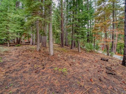1593 Plumas Circle, South Lake Tahoe, CA 96150 Photo