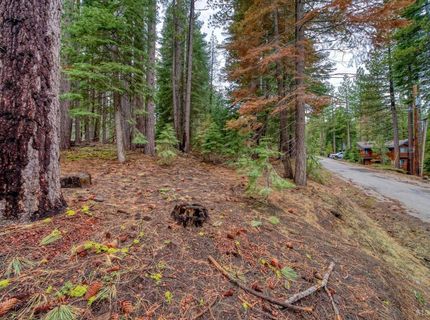 1593 Plumas Circle, South Lake Tahoe, CA 96150 Photo