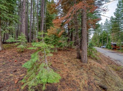 1593 Plumas Circle, South Lake Tahoe, CA 96150 Photo