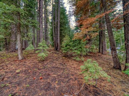 1593 Plumas Circle, South Lake Tahoe, CA 96150 Photo