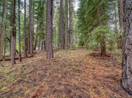 1593 Plumas Circle, South Lake Tahoe, CA 96150 Photo