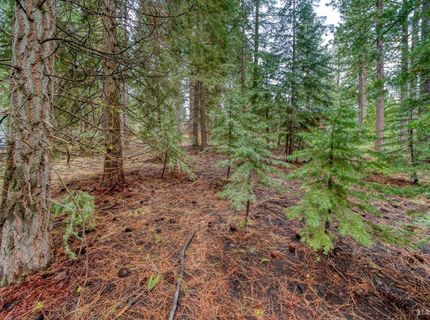 1593 Plumas Circle, South Lake Tahoe, CA 96150 Photo
