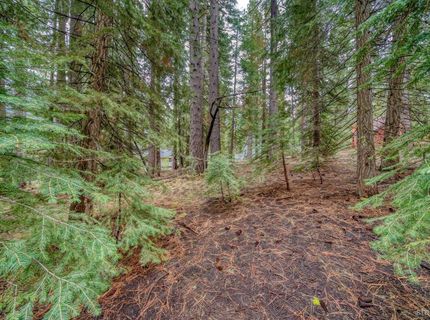 1593 Plumas Circle, South Lake Tahoe, CA 96150 Photo