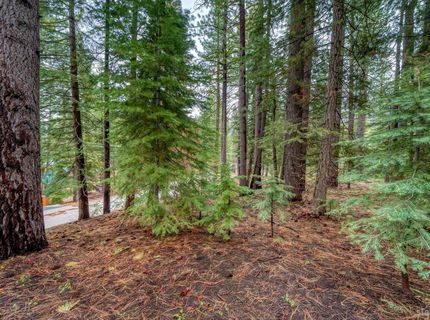 1593 Plumas Circle, South Lake Tahoe, CA 96150 Photo